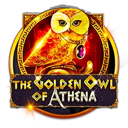 bingo net rewards what are good rewards for winning a bet with friends？